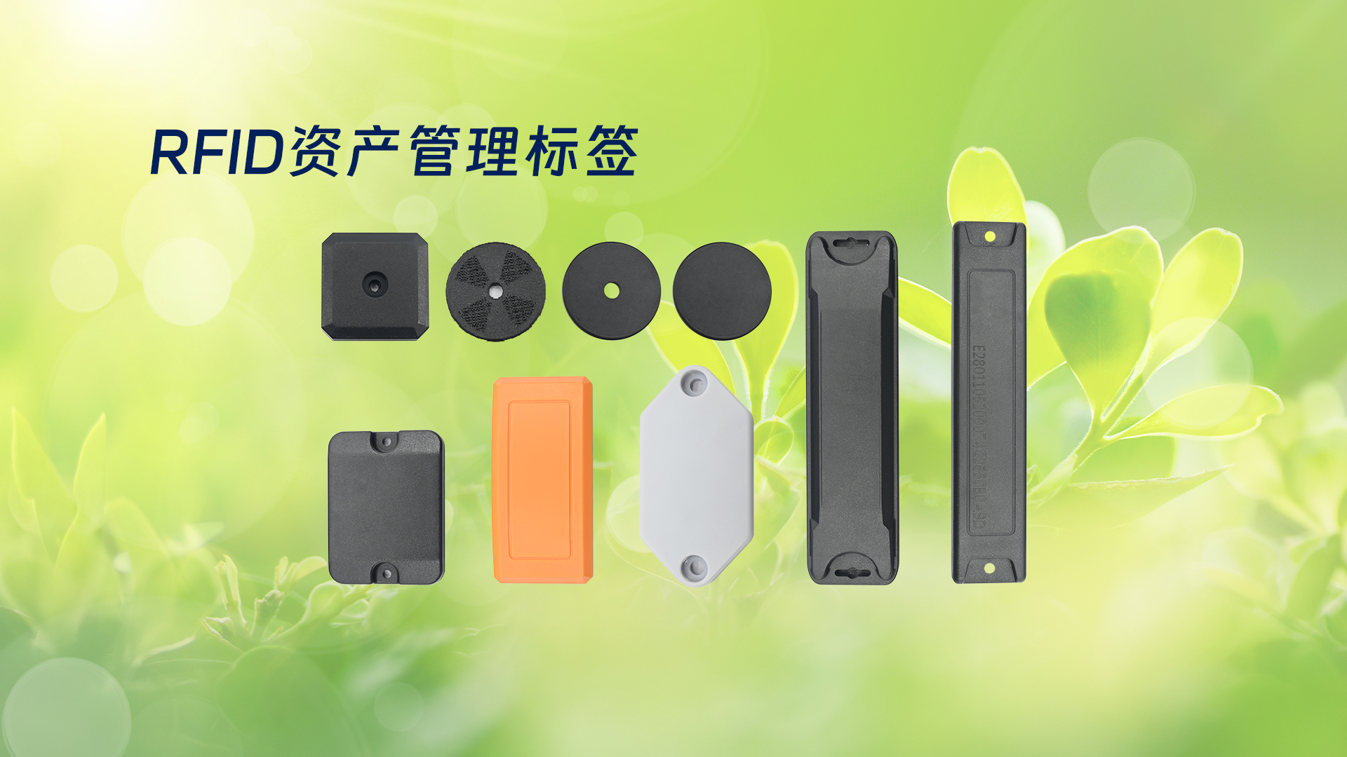 微信圖片_20250319134926 微信圖片_20250319134926