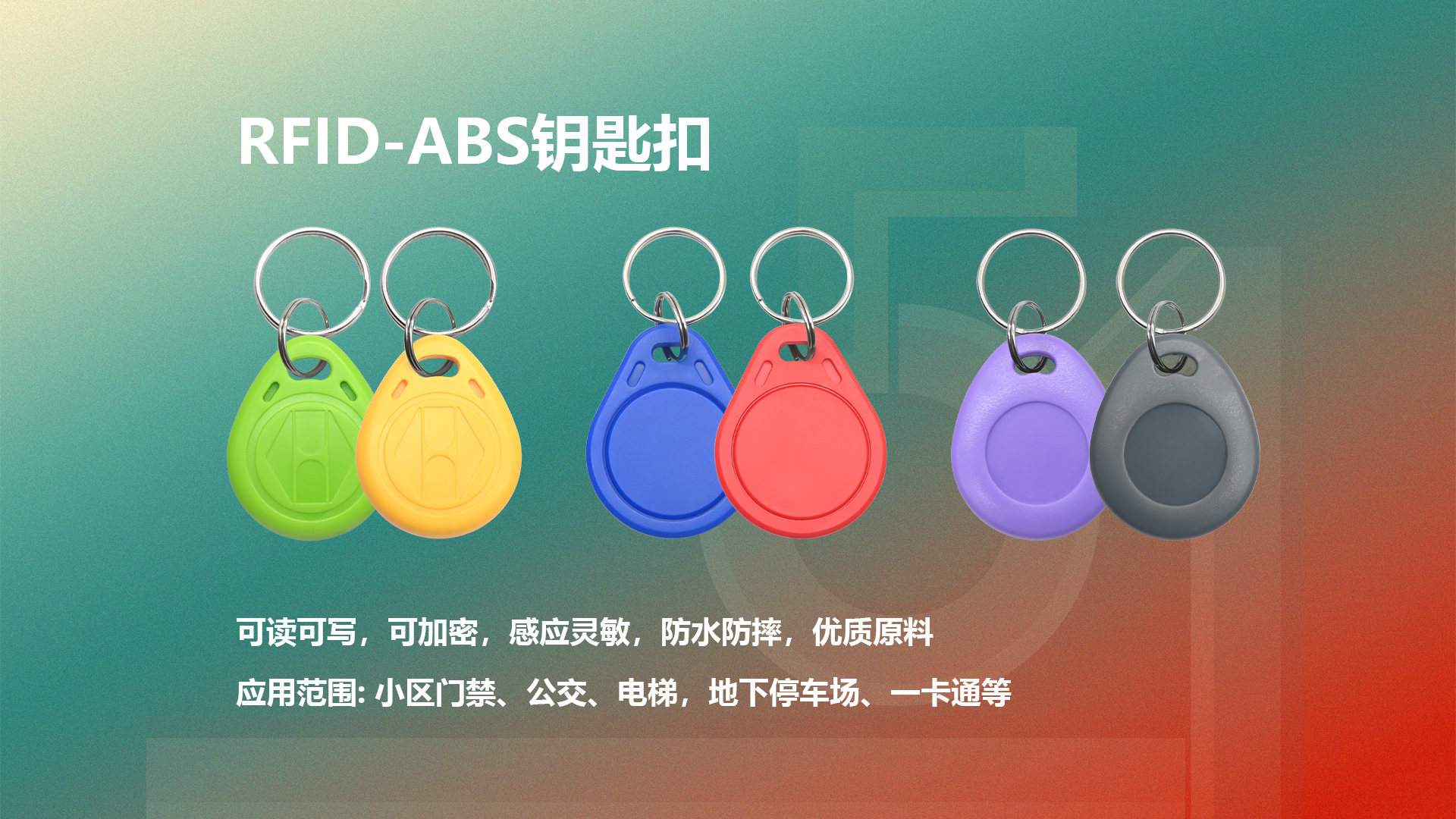 微信圖片_20250429185544 微信圖片_20250429185544