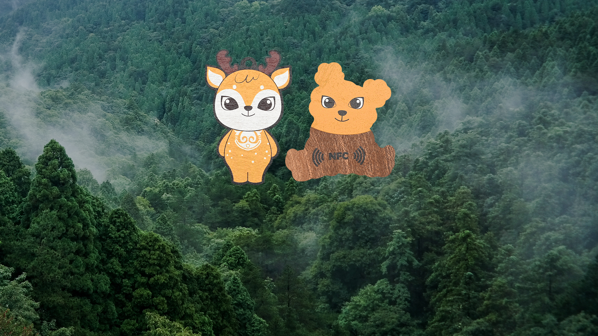 微信圖片_20250317155750 微信圖片_20250317155750