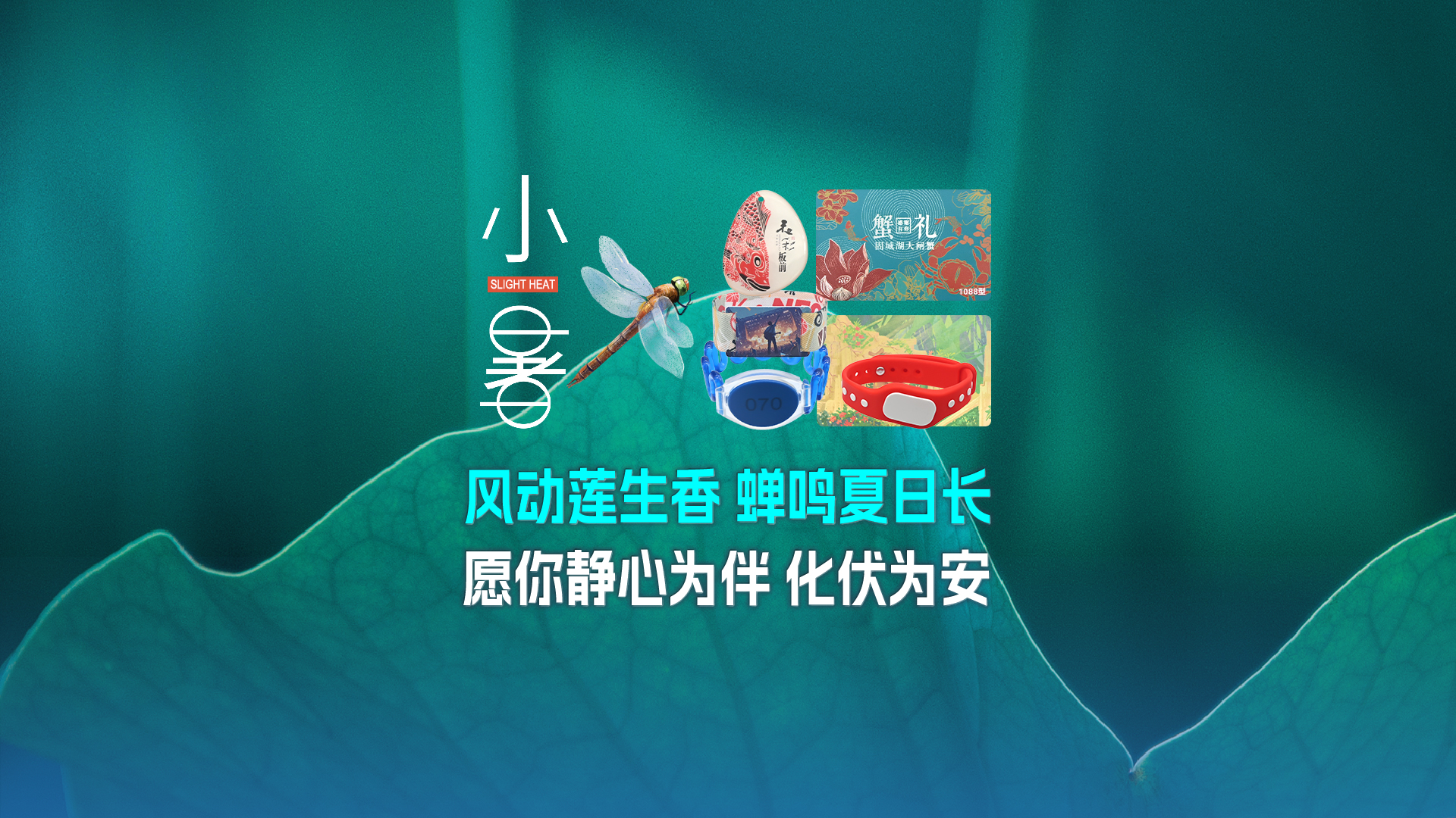 小暑至，卡立方集團(tuán)RFID物聯(lián)網(wǎng)產(chǎn)品熱度攀升