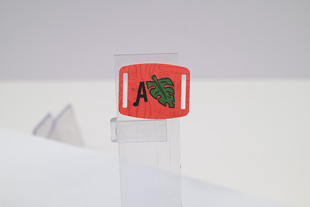 購物優(yōu)惠卡背面怎么寫?